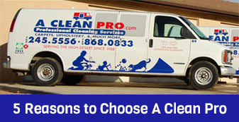 12-Step Carpet Cleaning Process