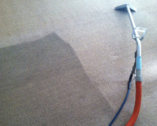 Premium Carpet Cleaning